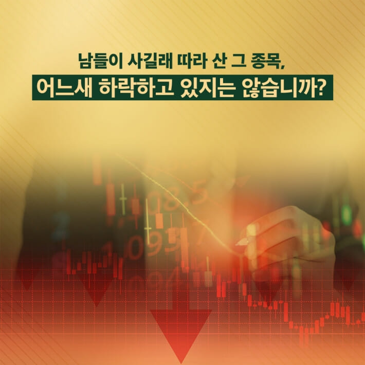 카드뉴스1
