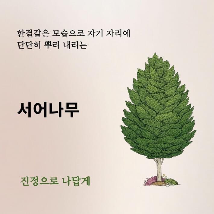 카드뉴스2