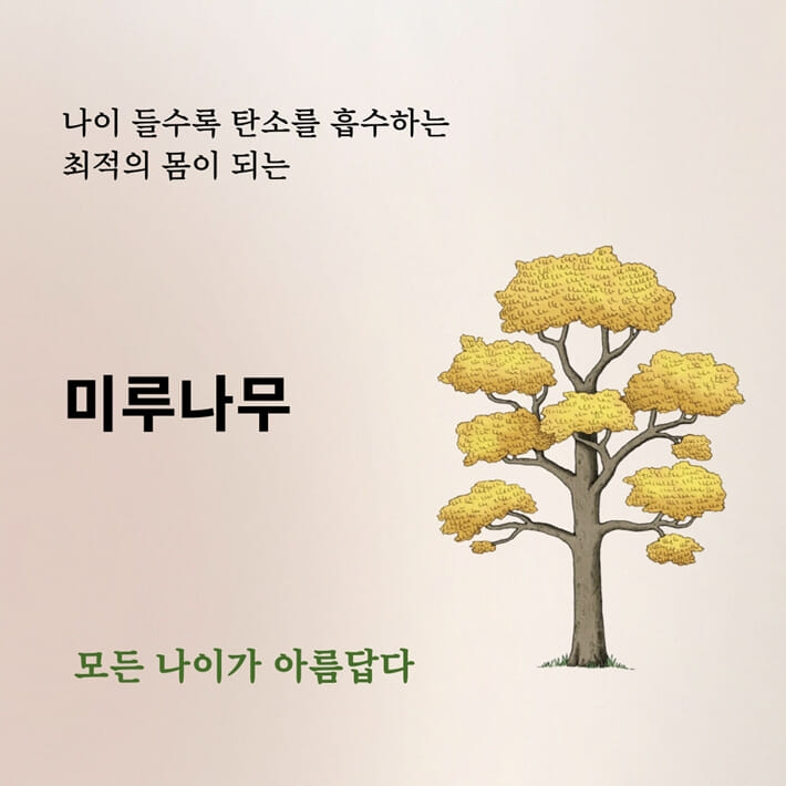 카드뉴스3
