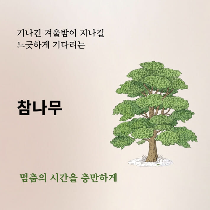 카드뉴스4