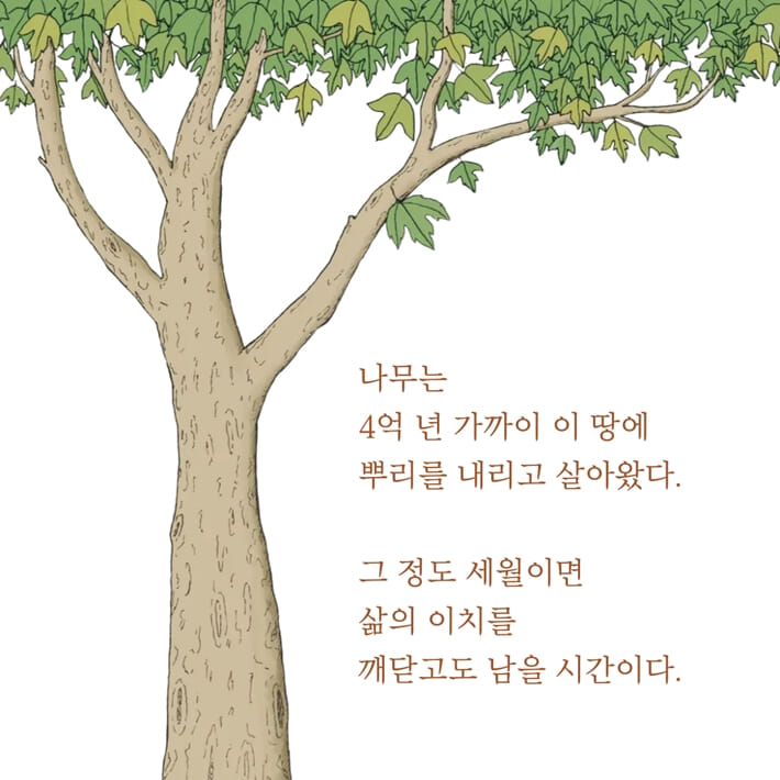 카드뉴스5
