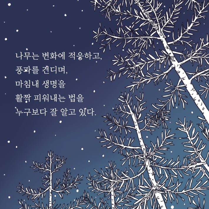 카드뉴스6