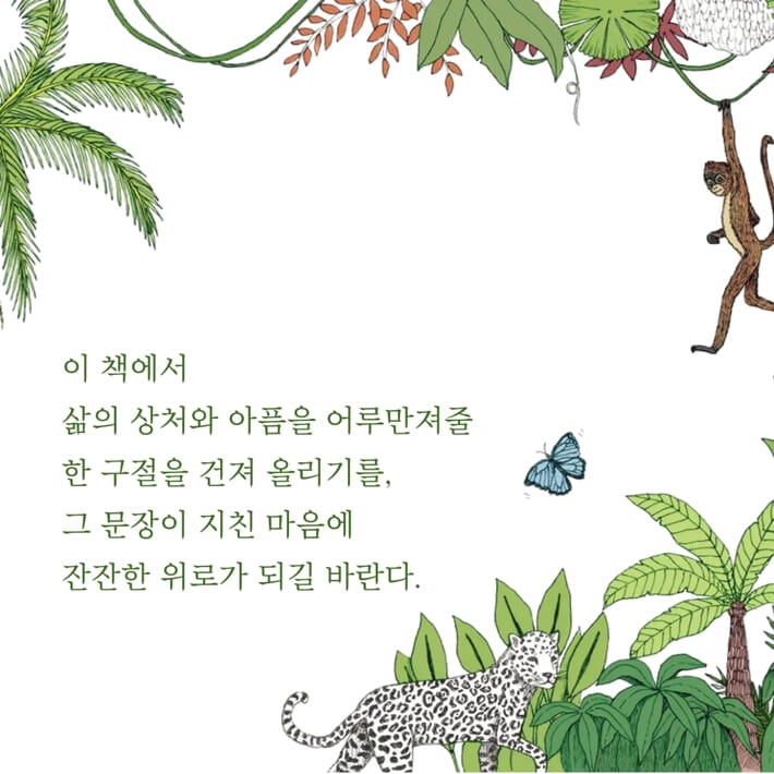 카드뉴스7