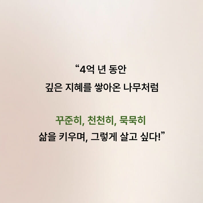 카드뉴스8