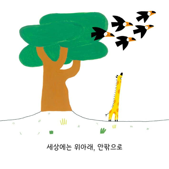 카드뉴스5