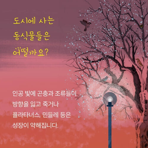 카드뉴스2