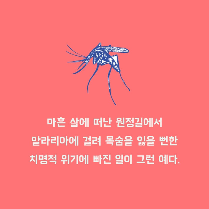 카드뉴스3