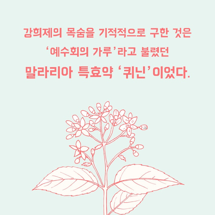 카드뉴스5