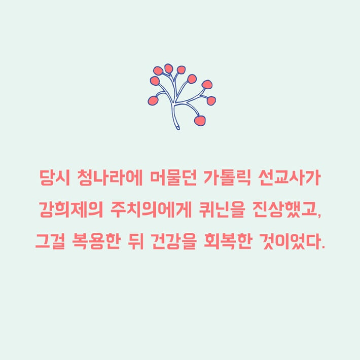 카드뉴스6