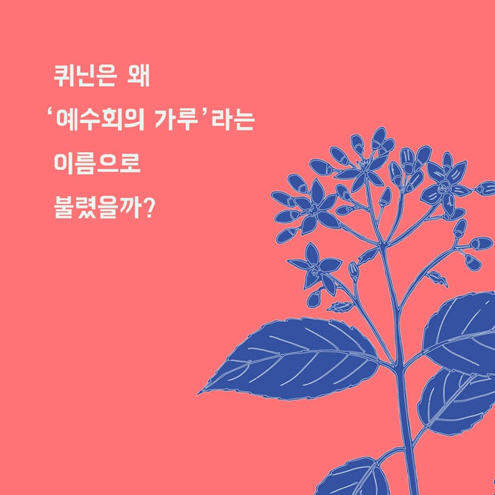 카드뉴스10
