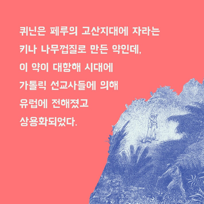 카드뉴스11