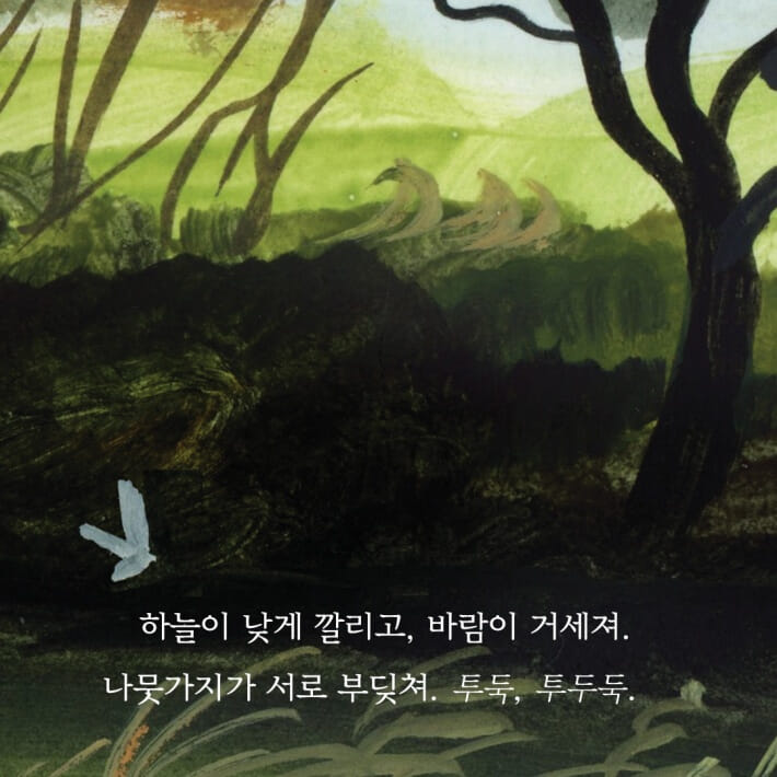 카드뉴스2