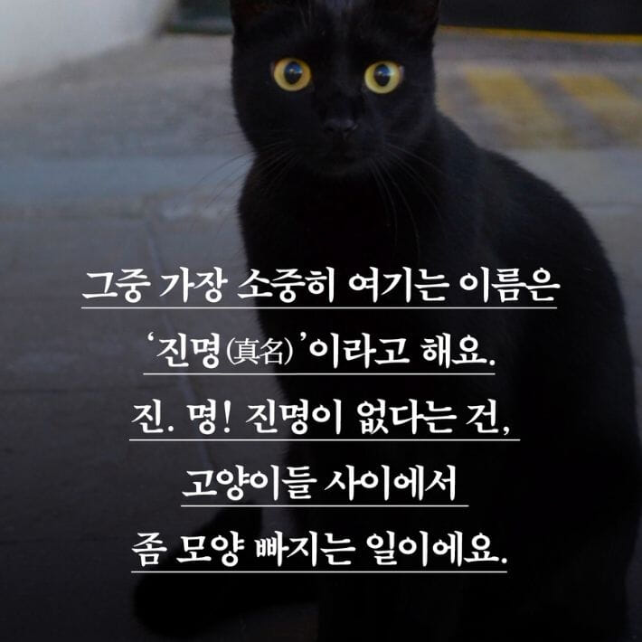카드뉴스2