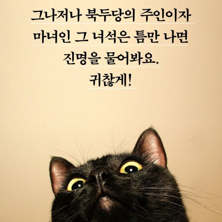 카드뉴스8
