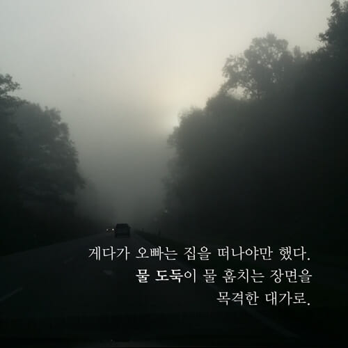 카드뉴스3