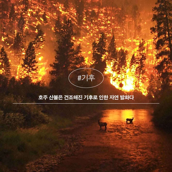 카드뉴스6