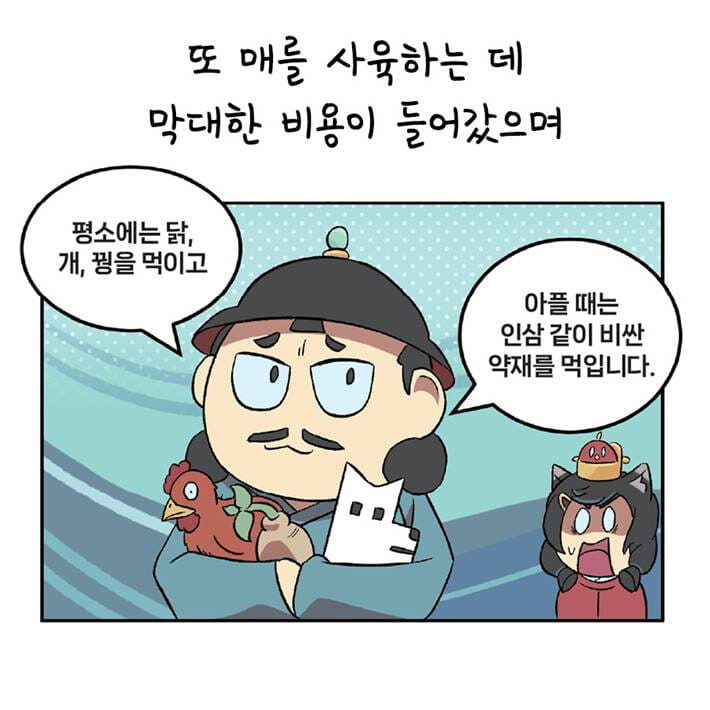 카드뉴스6