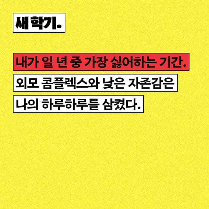 카드뉴스2