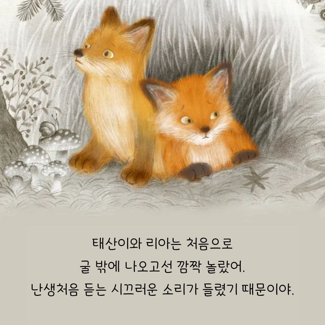 카드뉴스1