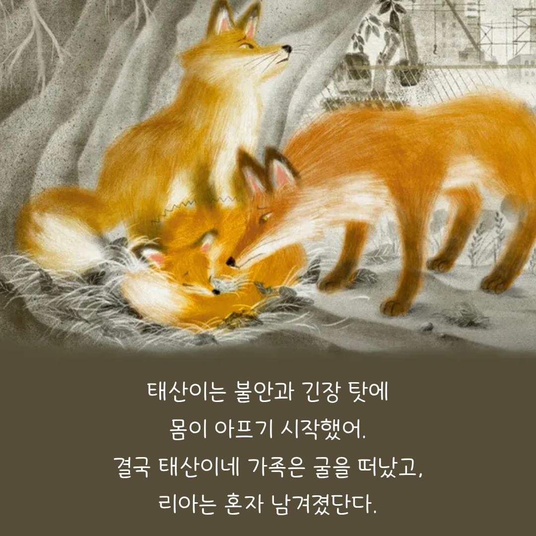 카드뉴스3