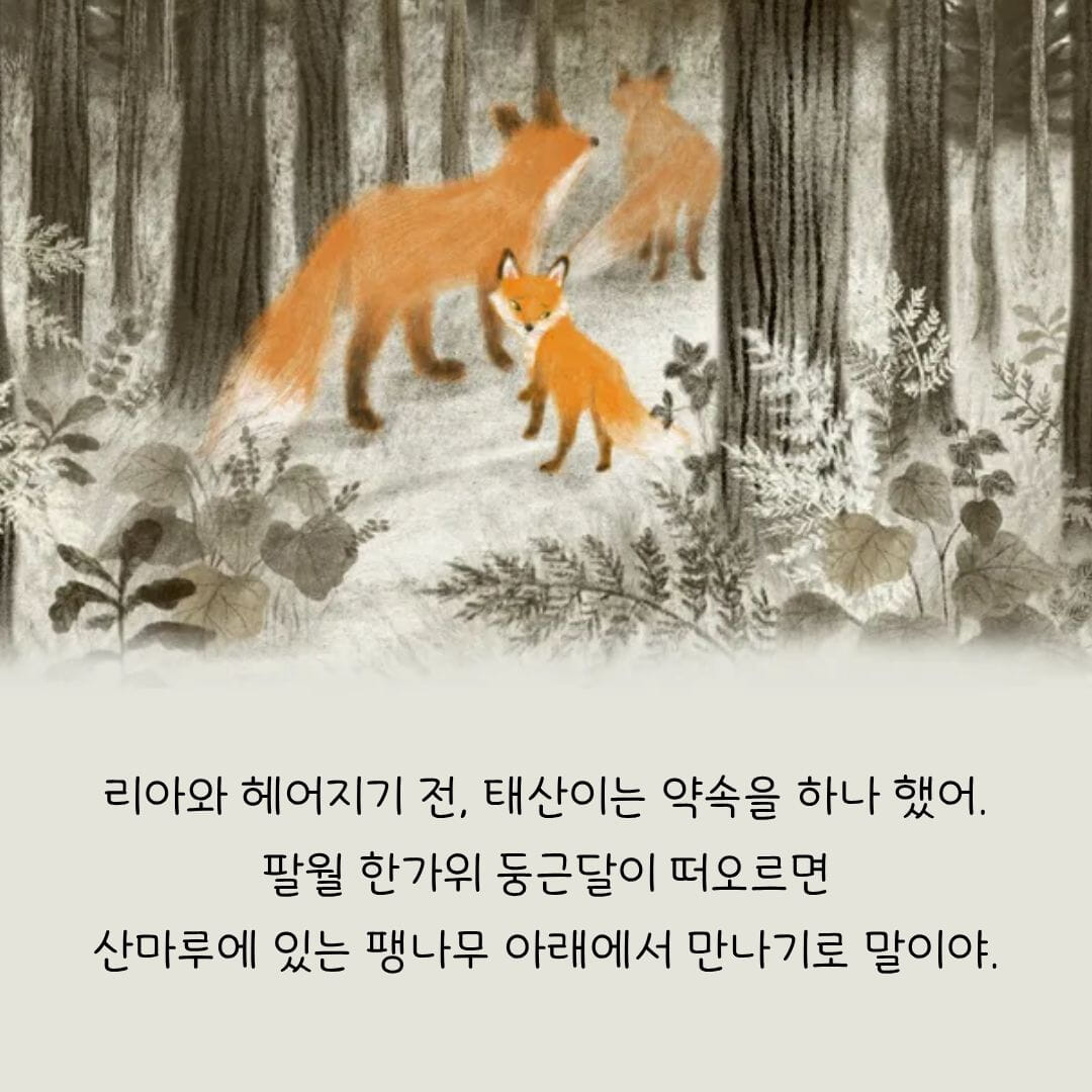 카드뉴스4