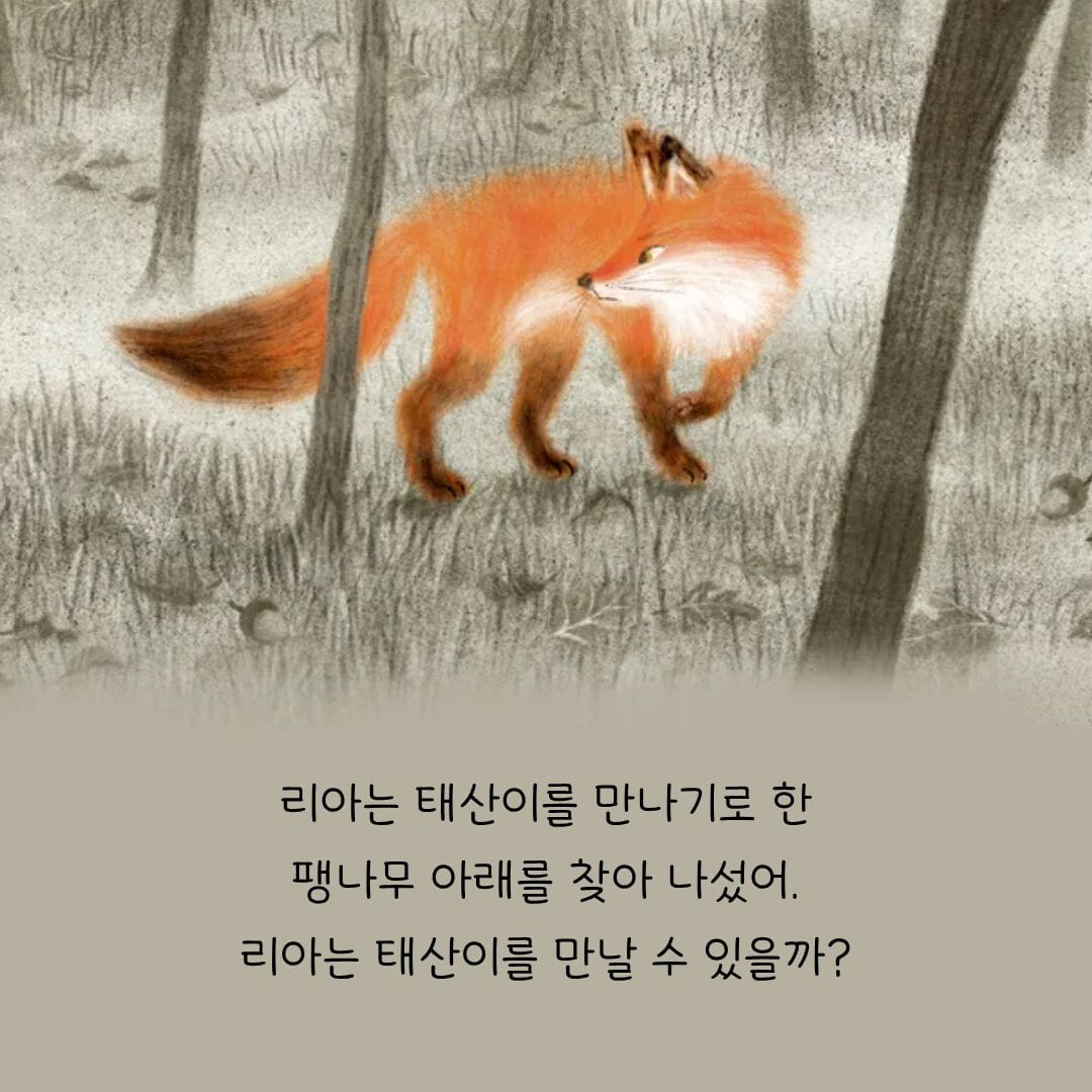 카드뉴스5