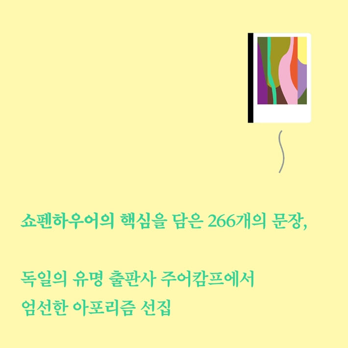 카드뉴스8