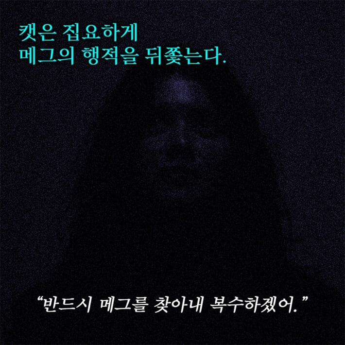 카드뉴스14