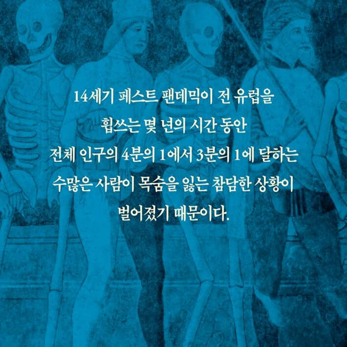 카드뉴스3