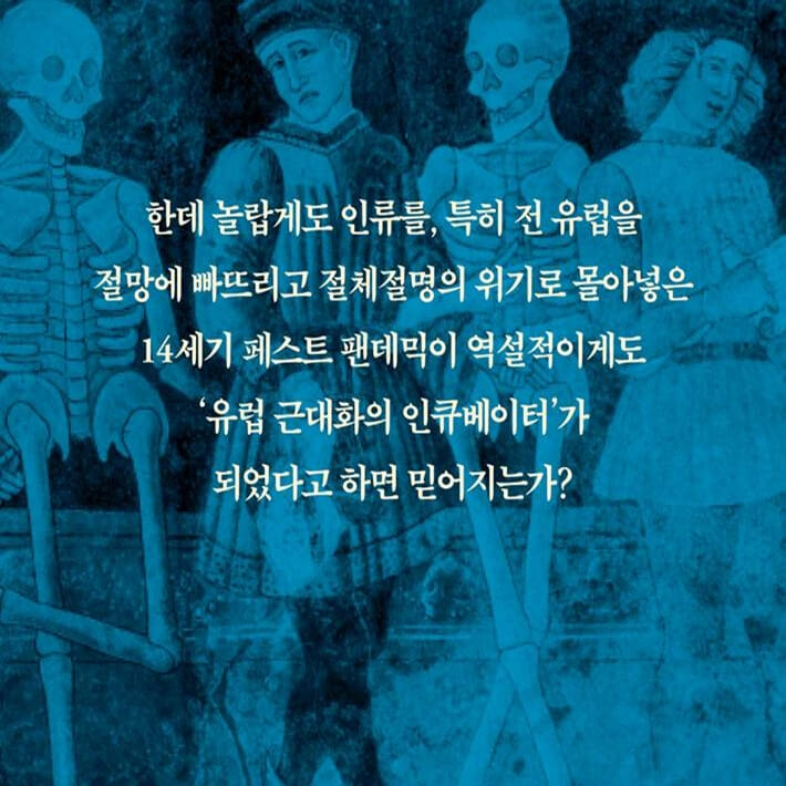 카드뉴스4