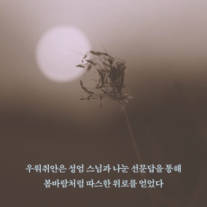 카드뉴스4