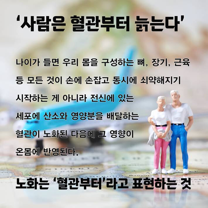 카드뉴스0