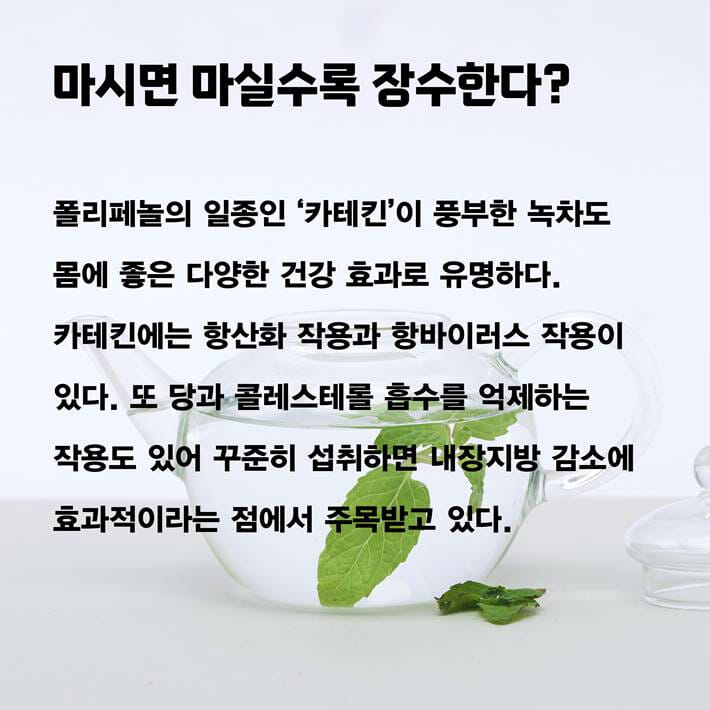 카드뉴스8