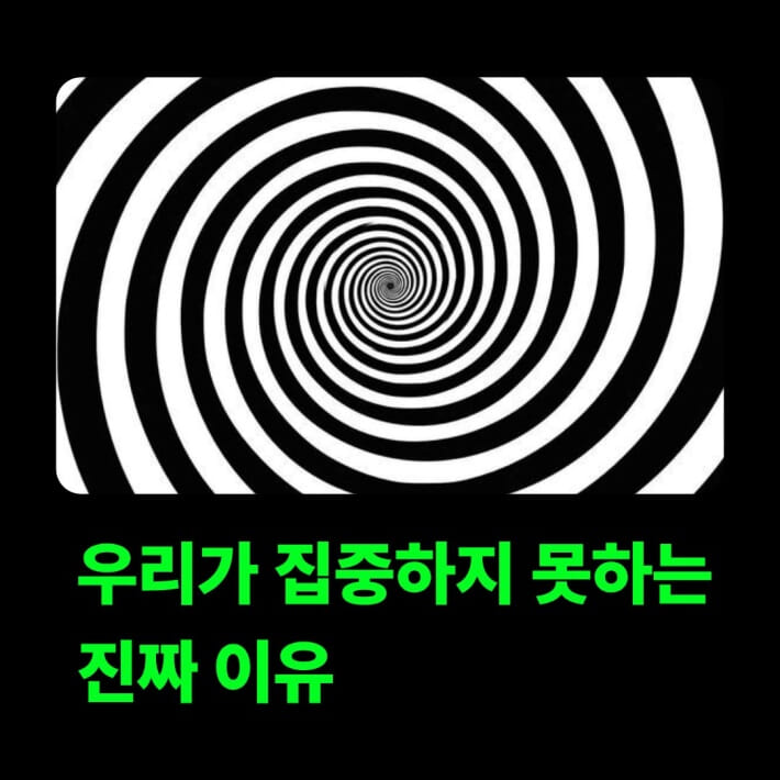 카드뉴스0