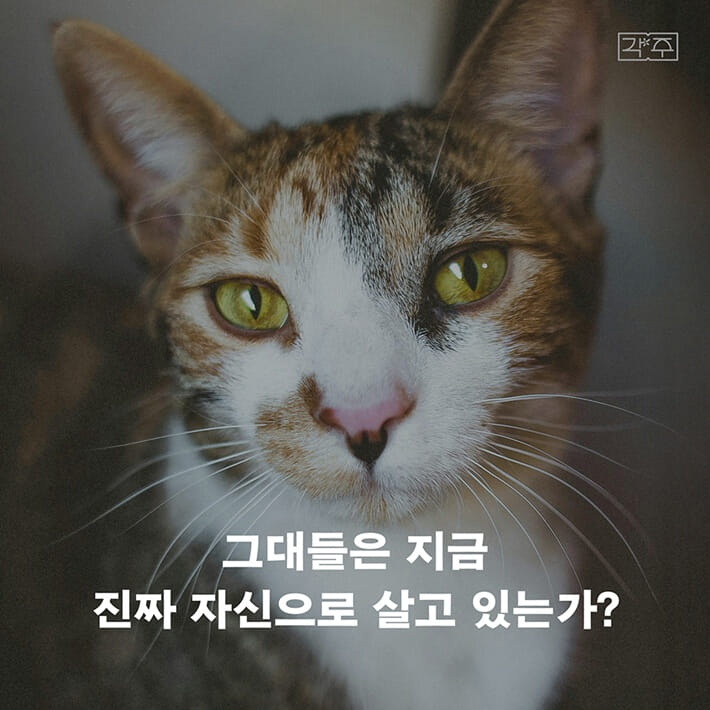 카드뉴스0