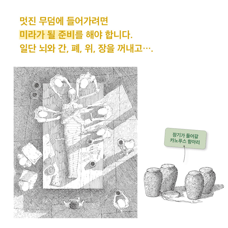 카드뉴스5