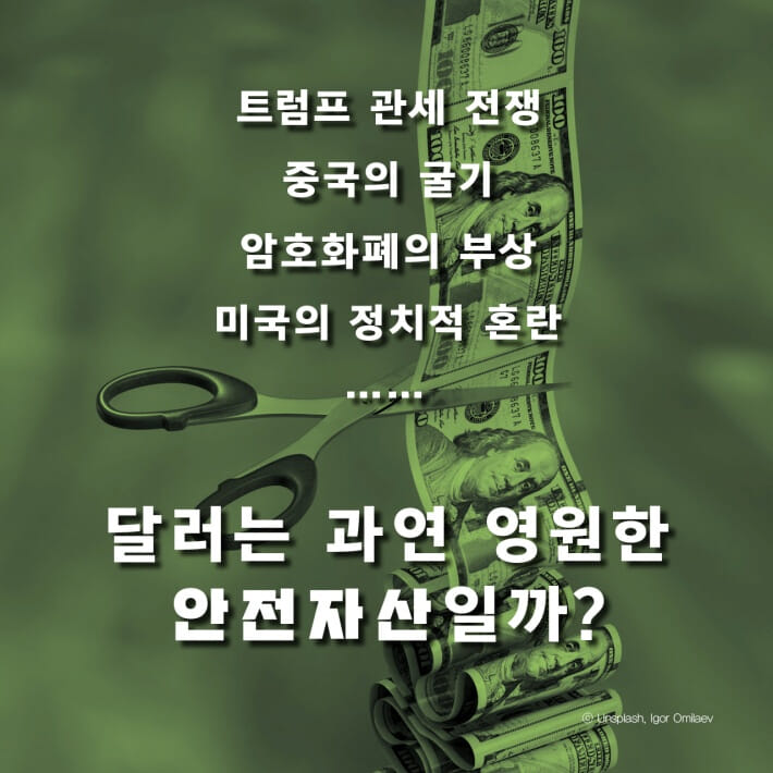 카드뉴스8