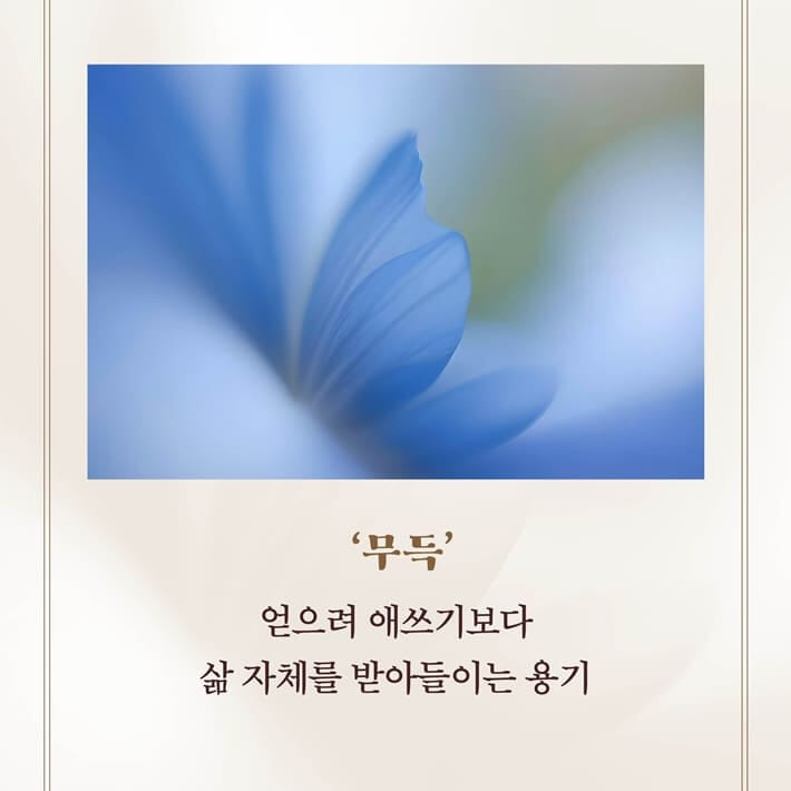 카드뉴스7