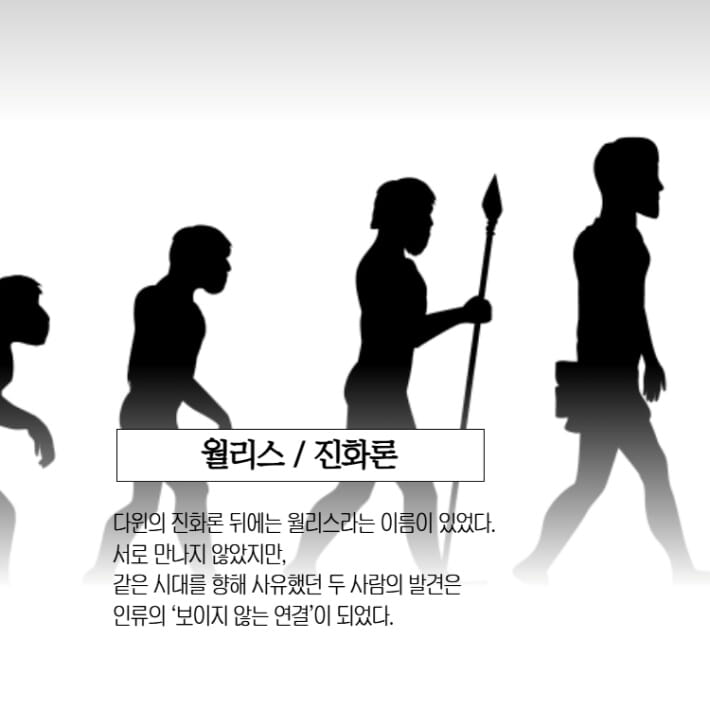 카드뉴스6