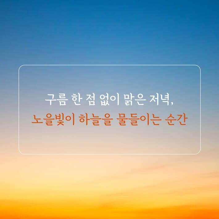 카드뉴스1