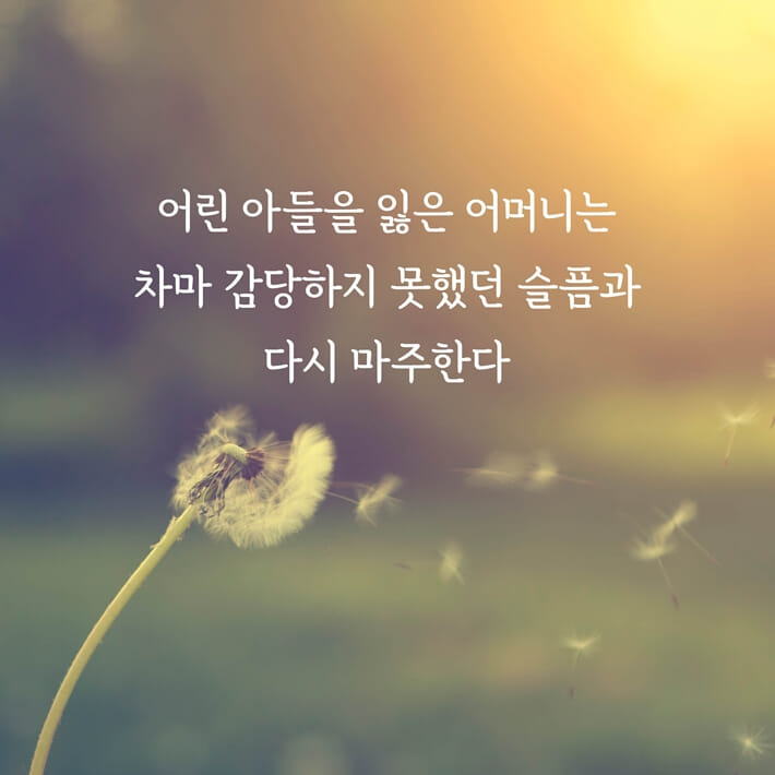 카드뉴스6