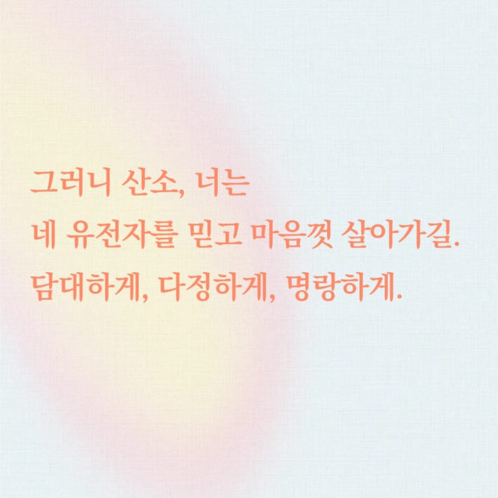 카드뉴스3