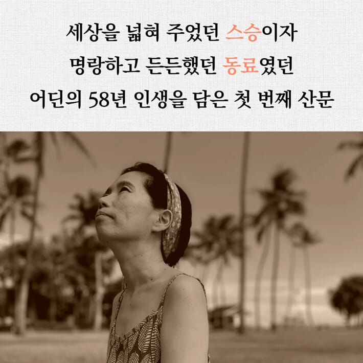 카드뉴스5