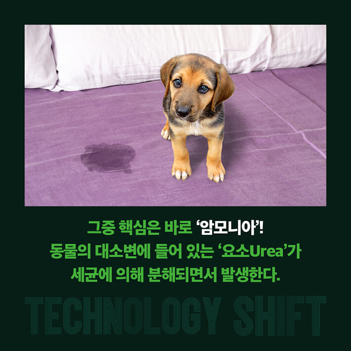 카드뉴스5
