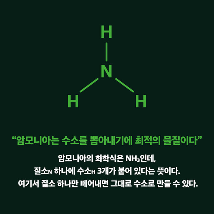 카드뉴스6