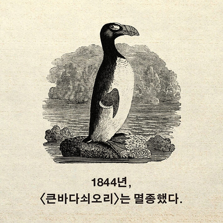 카드뉴스0