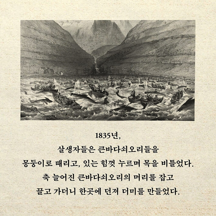 카드뉴스1