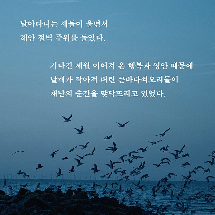 카드뉴스2