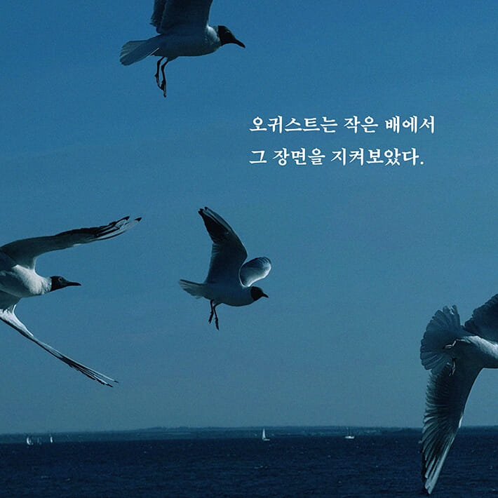 카드뉴스3