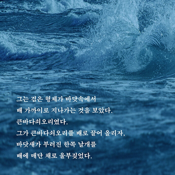 카드뉴스4